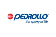 Pedrollo