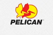 Pelican