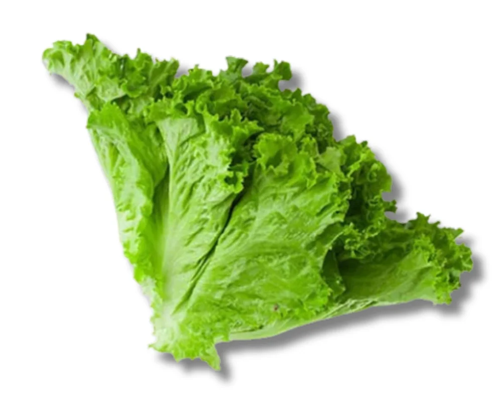 Salad Pata (Lettuce)