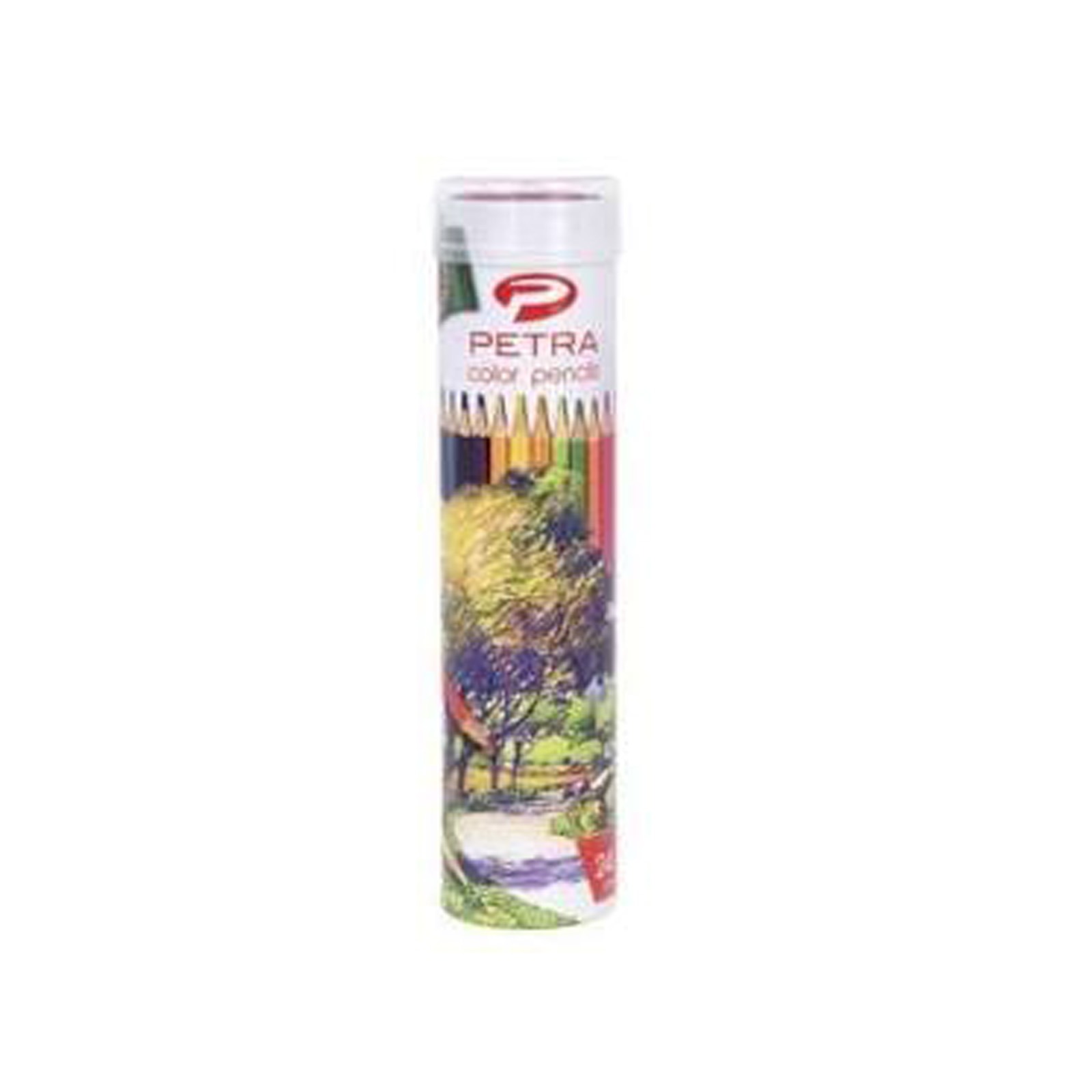 PETRA Colour Pencils Container Pack